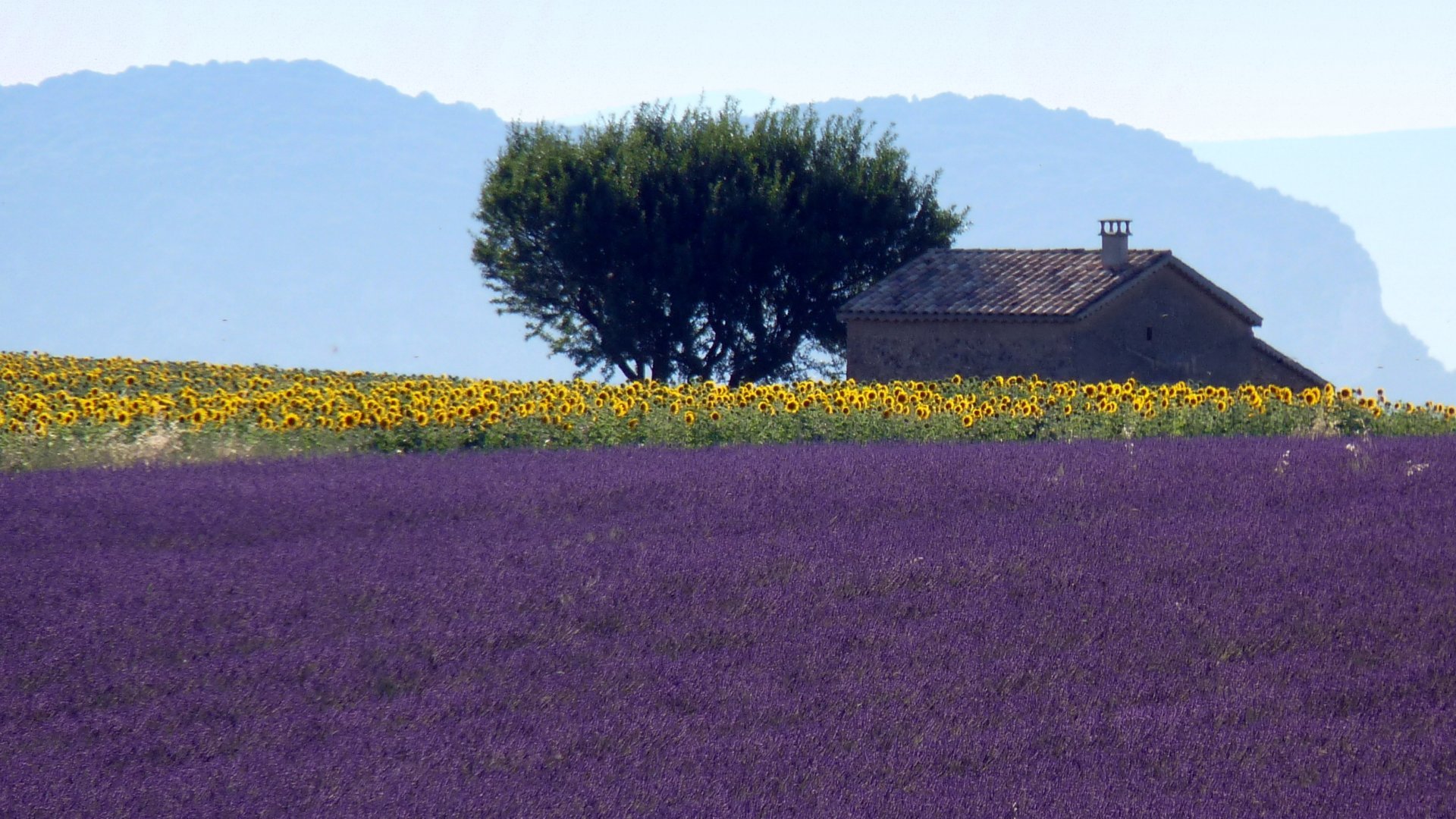 Experience Provence from La Prevote